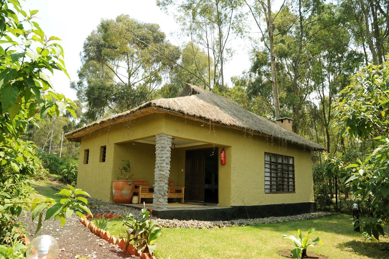 Davinci Gorilla Lodge Kinigi Exterior foto
